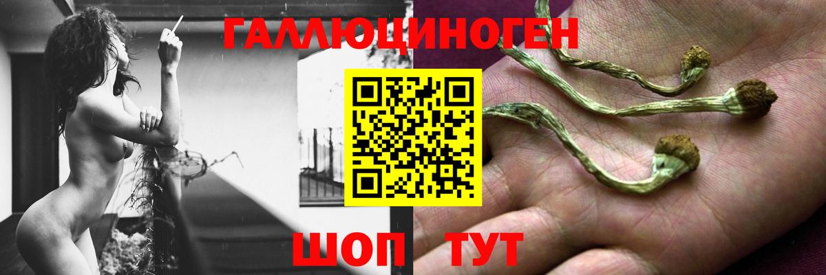 Благовещенск  Галлюциногенные грибы Magic Shrooms  Вход с VPN 